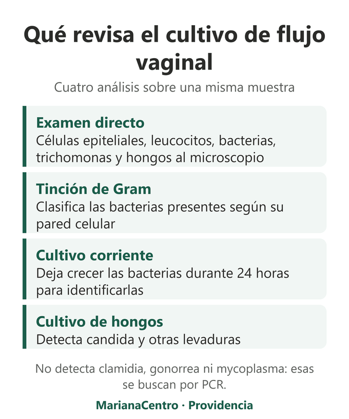 Qu&eacute; revisa el cultivo de flujo vaginal