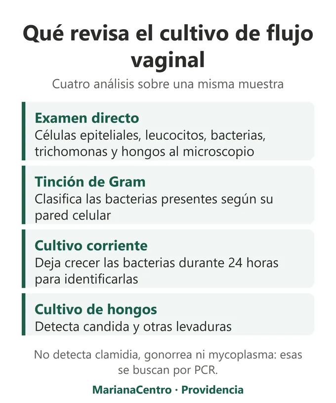 Qu&eacute; revisa el cultivo de flujo vaginal