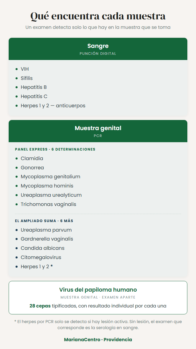 Qu&eacute; encuentra cada muestra: an&aacute;lisis de sangre, PCR en muestra genital y tipificaci&oacute;n de VPH