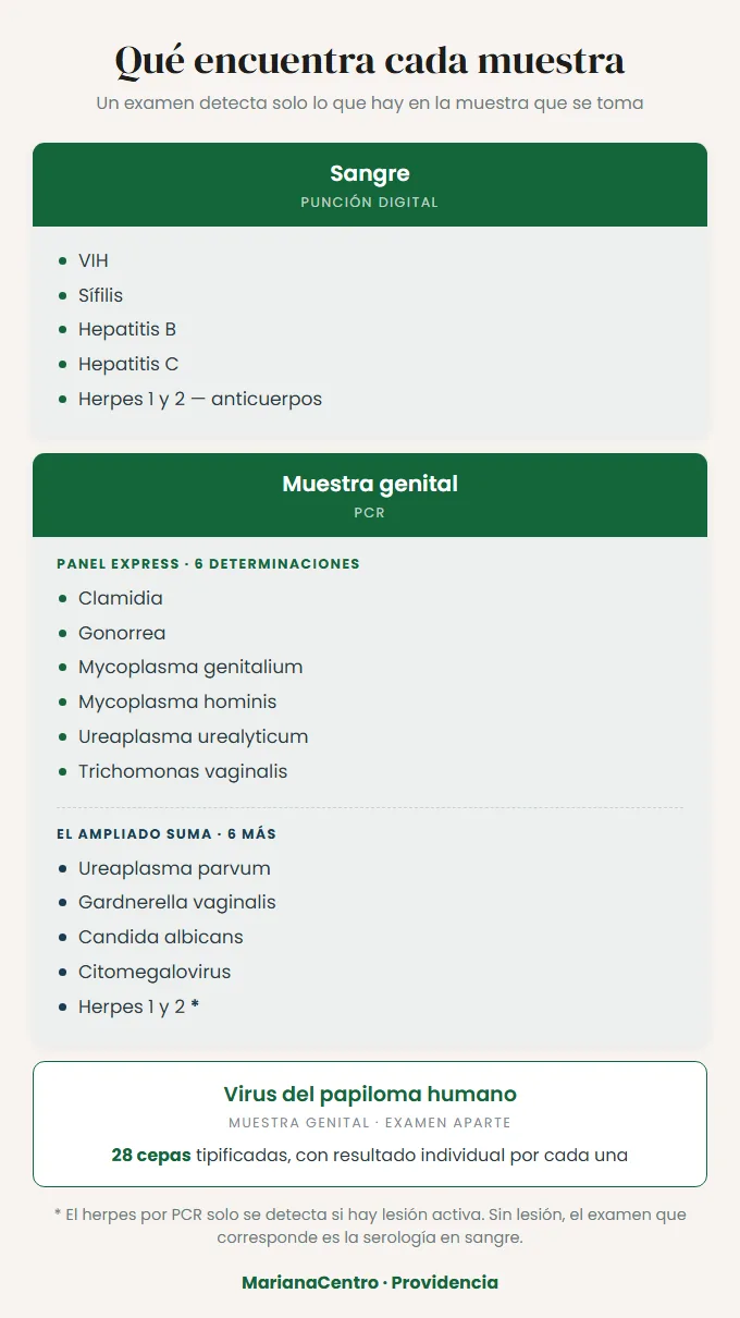 Qu&eacute; encuentra cada muestra: an&aacute;lisis de sangre, PCR en muestra genital y tipificaci&oacute;n de VPH