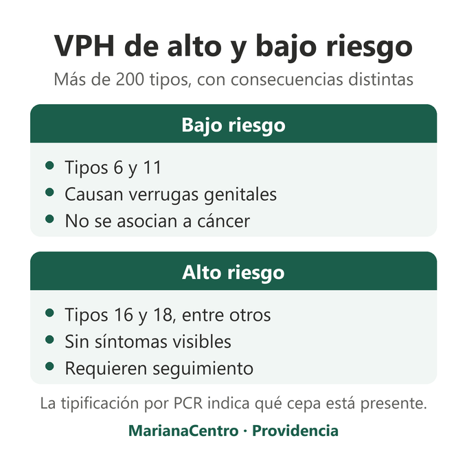 Cepas de VPH de alto y bajo riesgo
