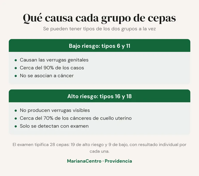Qué causa cada grupo de cepas de VPH: los tipos 6 y 11 de bajo riesgo producen las verrugas genitales, y los tipos 16 y 18 de alto riesgo no dan verrugas visibles. El examen tipifica 28 cepas.