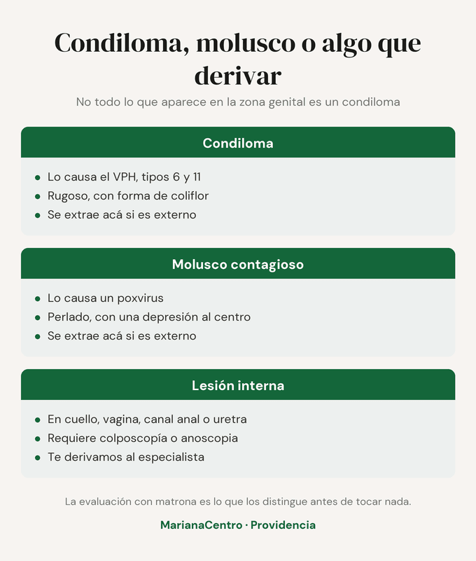 Condiloma, molusco contagioso o lesión interna: cómo se distinguen. El condiloma lo causa el VPH 6 y 11 y es rugoso; el molusco contagioso lo causa un poxvirus y es perlado con una depresión al centro; la lesión interna requiere derivación.