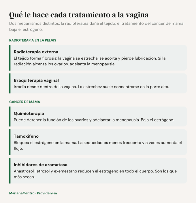 Diagrama: efectos de la radioterapia externa, la braquiterapia, la quimioterapia, el tamoxifeno y los inhibidores de aromatasa sobre la vagina
