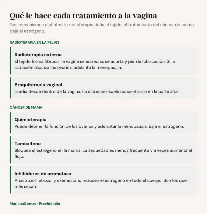 Diagrama: efectos de la radioterapia externa, la braquiterapia, la quimioterapia, el tamoxifeno y los inhibidores de aromatasa sobre la vagina