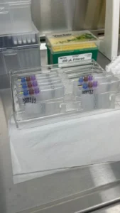 Muestras de PCR para exámenes de ITS en un rack del laboratorio de MarianaCentro